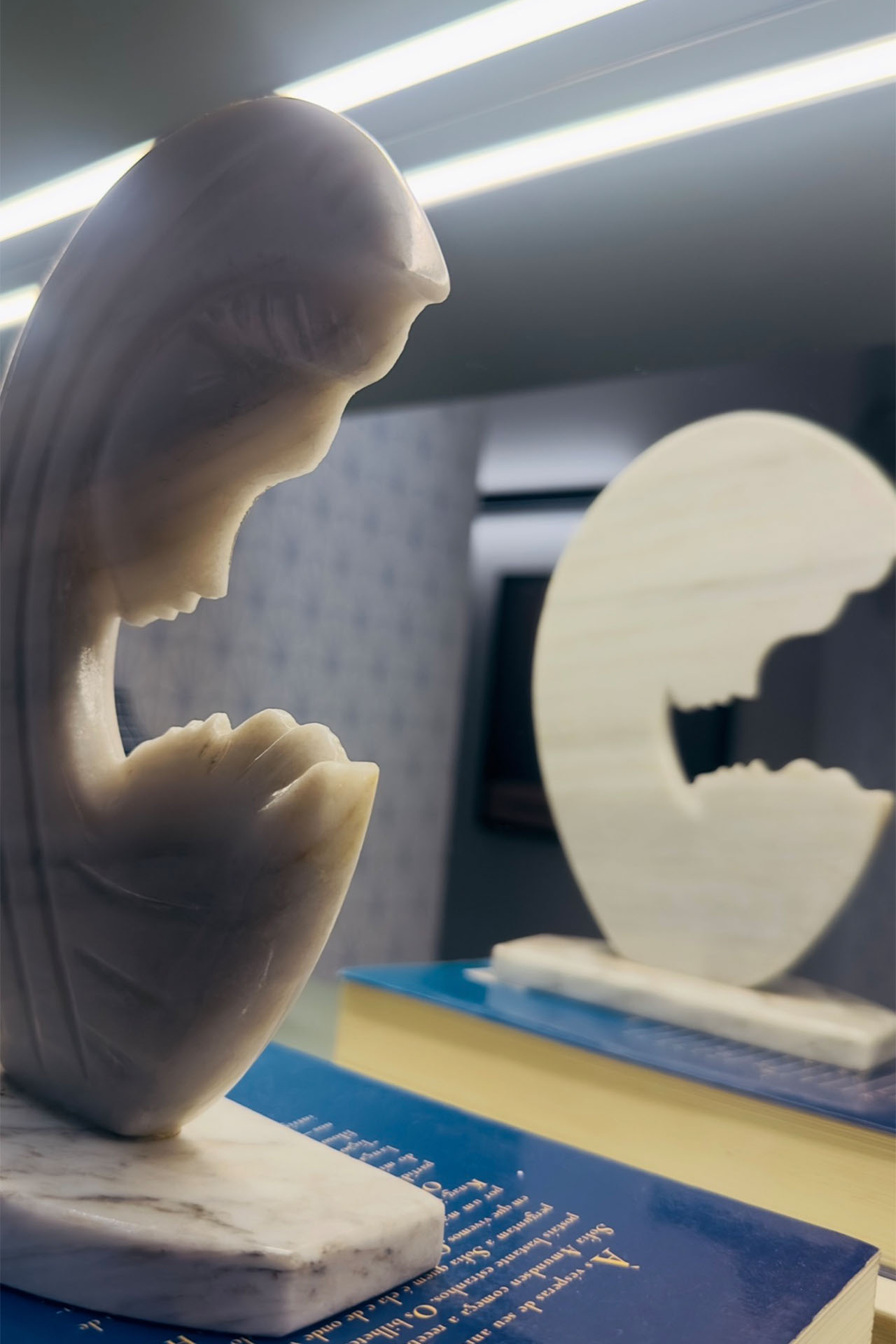 RB_0000s_0003_IMG_8632